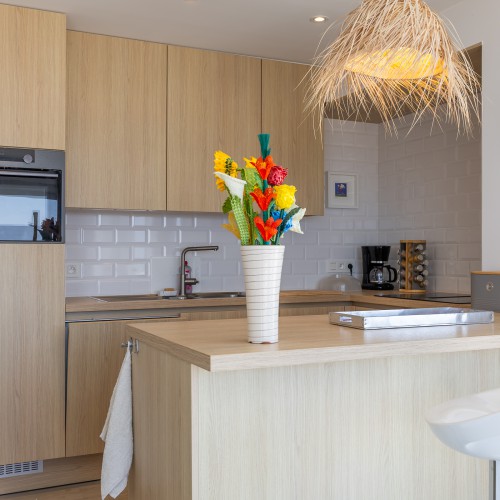 Wohnung (saison) Middelkerke - Caenen vhr1333
